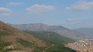 Три изгубени деца бяха намерени след 12 часа издирване