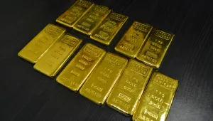 Полицията разби група, източвала ДДС