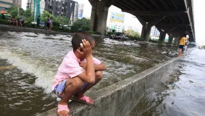 Оттичащите се води от наводненията в Тайланд застрашават морския живот в Тайландския залив