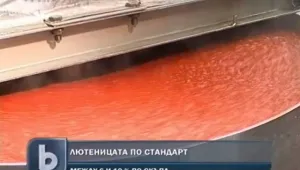 Готов е стандартът за лютеницата