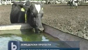 Земеделците на протест до дни заради Бюджет 2012