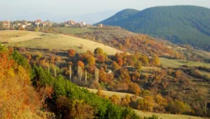 Остава слънчево и тихо