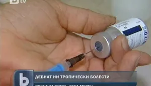 Климатът се променя - дебнат ни тропически болести
