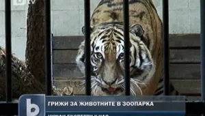 Световни експерти: Всички животни подлежат на дресура