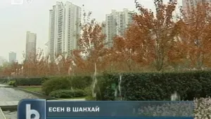 Уникални есенни краски обагриха Шанхай