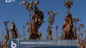 Рекордно засушаване