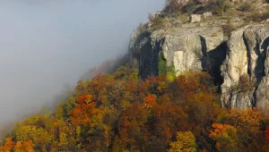 Есенни мъгли