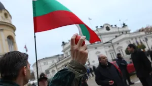 Второ издание на доматения протест