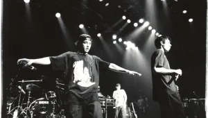 Beastie Boys съдят компания за играчки