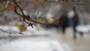 Дъжд и сняг в неделя
