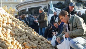 Френски фермери изсипаха тонове картофи в знак на протест