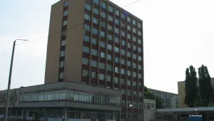 „Видахим