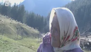 Набези на вълци стряскат хората край Якоруда