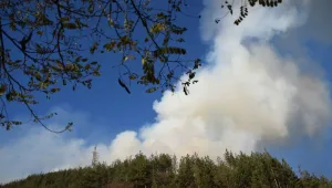 Пожарът над Смолян отново се разпали