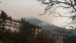Пожарът край Смолян е овладян