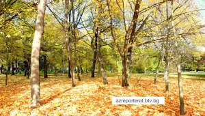 След мразовитото утро, през деня ще е слънчево и топло