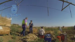 В Испания арестуваха българи, експлоатирали други наши сънародници  