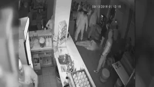 Биячи вилнеят безнаказано и всяват страх във врачанско село 