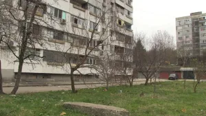 Мъж коли и дере зайци до детска градина в Русе 