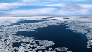 Зимният морски лед в Арктика е с рекордно ниско ниво през 2025 г.