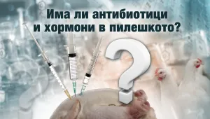 „Чети етикета”: Има ли хормони и антибиотици в пилешкото?
