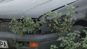 Общината във Варна прочиства града от гниещите по улиците автомобили