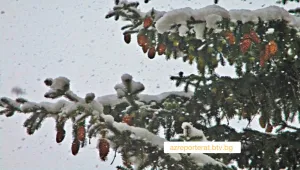 Следобед сняг се очаква само в североизточните райони