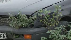 Автомобили, спрени от движение, задръстват улици и паркинги