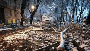 Над 150 снегорина работят на територията на Столична община