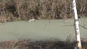 Четири общини в Родопите са със забрана за използване на водата от чешмите