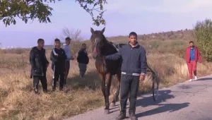Задържаха собствениците на каруците, предизвикали катастрофата край Казанлък 