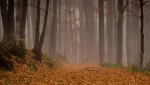 Слънце и мъгли през почивните дни