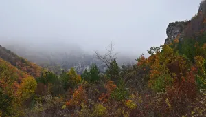 Мъгли в ниските места и в неделя 