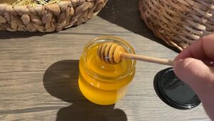 Съюзът на пчеларите: Българският мед ще поскъпне най-малко с 10%
