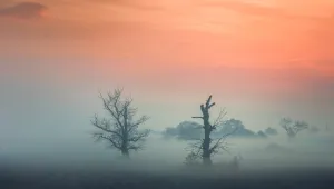 Предимно облачно в неделя