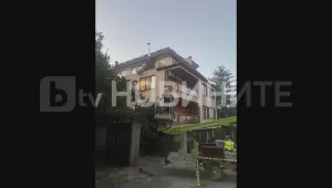 Бор падна върху жилищна сграда в София (ВИДЕО и СНИМКИ)