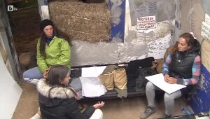 Ще се върнат ли в играта Канатица? | Фермата