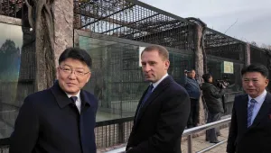 Владимир Путин подари 70 животни, сред които лъв и две мечки, на Северна Корея