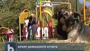 Затягат контрола на кучетата 