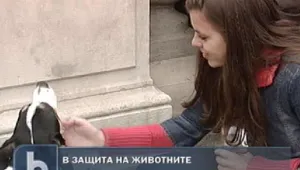 Хора и кучета протестираха заедно срещу жестокостта над животни
