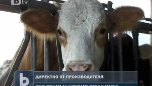 Купуваме мляко и месо директно от производителя