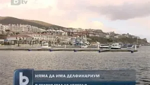 Няма да строят делфинариум в Стария град на Несебър  