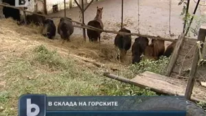 Складовете на горските са препълнени с инвентар 