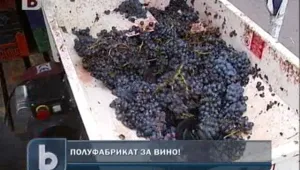 Имаш грозде – пиеш вино