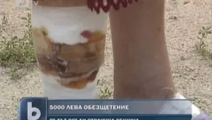 Столична община ще плати 5 хил. лева на нахапана от кучета жена