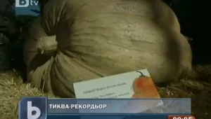 В САЩ отгледаха 38-килограмова тиква