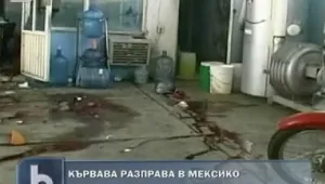 Застреляха 15 души при кървава разправа в Месико