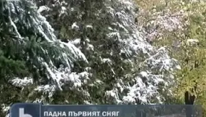 Първият сняг създаде проблеми в Смолянско
