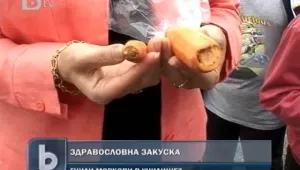 Хранят пловдивски ученици с развалени закуски