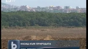 Назад към природата - възстановяват горите по Черноморието